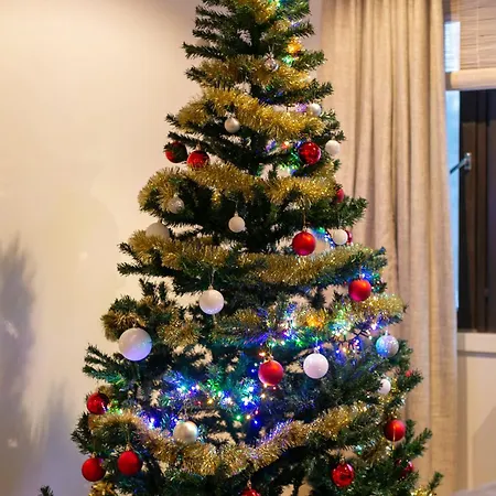 Cozy Near Santa Park Apartment